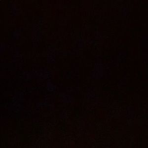 Meet your Posher, Rosa